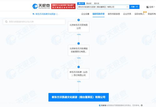 新东方文旅在烟台成立新公司，聚焦计算机网络信息及软件技术开发
