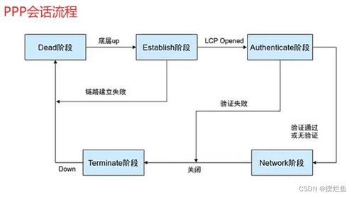 网络技术开发中的NAT、PPP协议及其在现代信息与软件技术中的作用